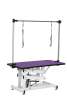 42.5INCH HYDRAULIC PET GROOMING TABLE WITH "H" ARM PURPLE