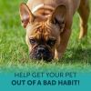 No Poo Chews for Dogs No Poop Eating for Dogs Dog Probiotics and Digestive Enzymes Dog Bad Breath Aid for All Breeds Dog Digestive Support and Gut Hea