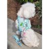 Cool Mesh Dog Harness with Leash