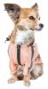 Dog Helios 'Torrential Shield' Waterproof Multi-Adjustable Pet Dog Windbreaker Raincoat